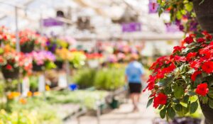 gardencenterfront