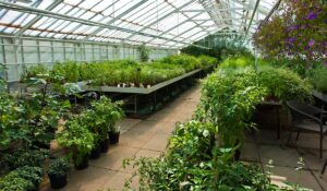 policygarden