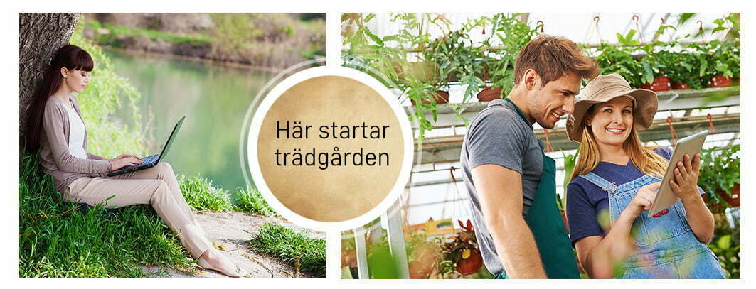 diy1 växtregister